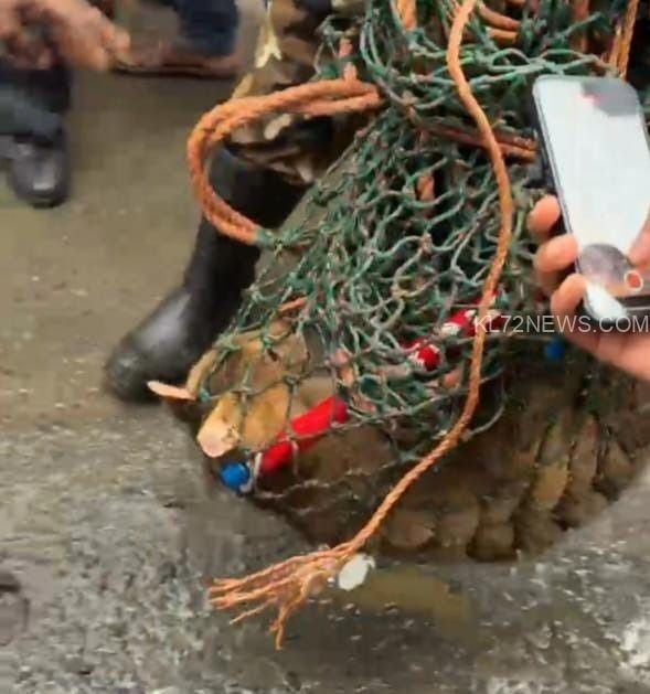 dc435bb7-27c4-4210-8955-879bd31fc15d