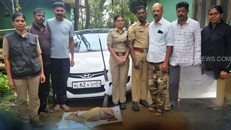 പുൽപ്പള്ളി മൂടകൊല്ലിയിൽ നടത്തിയ പരിശോധനയിൽ നാടൻ തോക്കും വെടിയുണ്ടകളും കേഴമാനിന്റെ ജഡവും വനംവകുപ്പ് പിടികൂടി.