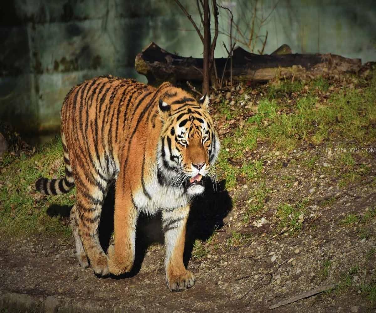 3bf17033-5fd3-401e-b840-709b9200c981