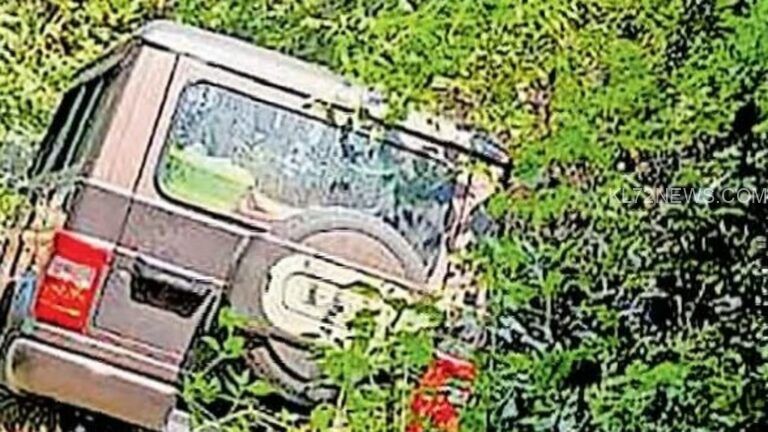 ഗൂഗിള്‍ മാപ്പിട്ട് ആശുപത്രിയിലേക്ക്, ചെന്നെത്തിയത് കാട്ടില്‍; ഒടുവില്‍