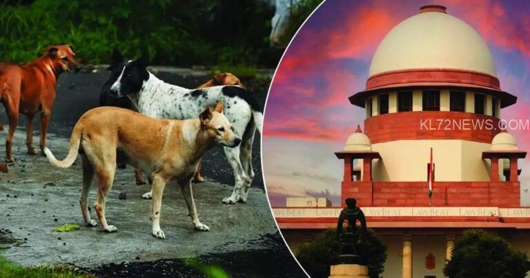 പൊതുവിടങ്ങളിൽ നിന്ന് തെരുവുനായ്ക്കളെ മാറ്റണം: സുപ്രധാന ഉത്തരവുമായി സുപ്രീം കോടതി