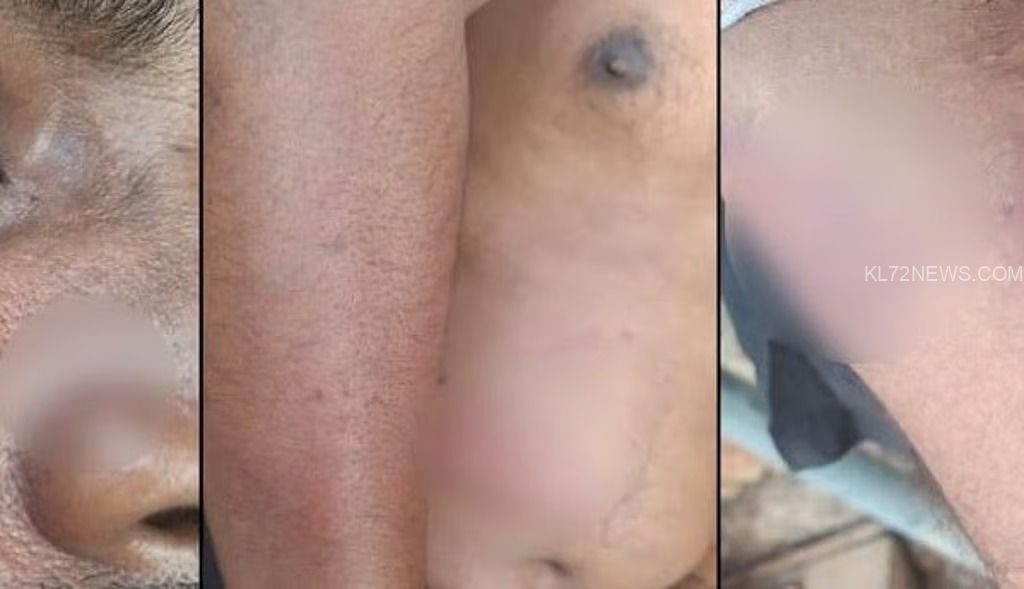 52c1c3f5-c752-4416-92f6-8fd34dc43787