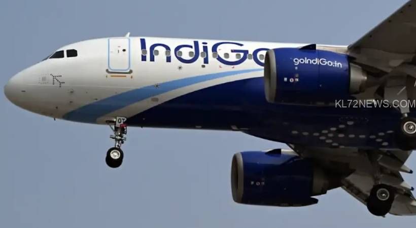 Indigo-2