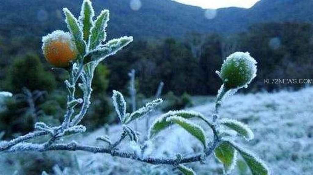 036263a0-8141-4dbf-8812-b14b92fb1e7d