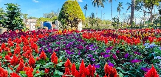 11a07447-0443-43aa-8bc4-7fc89372c779