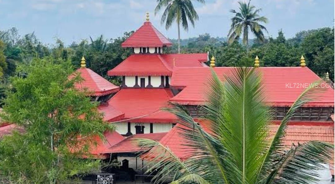 2333c37a-c086-4c1d-869e-b8998cc0b3d3