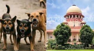 8615b847-960c-4241-8842-2ff9a2783551