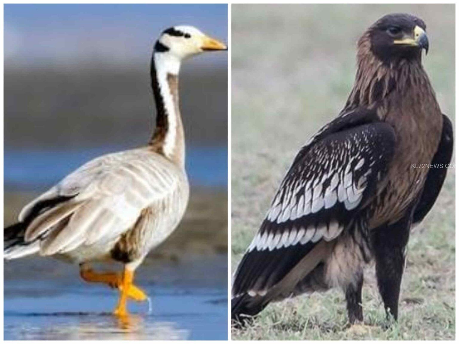 93bfa21a-1275-41d4-970e-6764f04a81d9