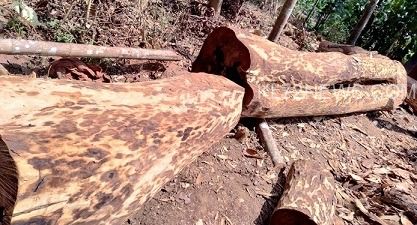 99587199-da7d-4290-81e6-cb137fb9c7b8