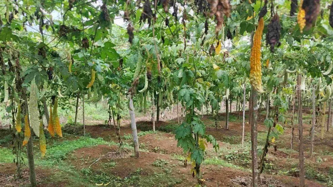 b4c0e8ed-433b-4af6-8a1d-6dcf33b531f7