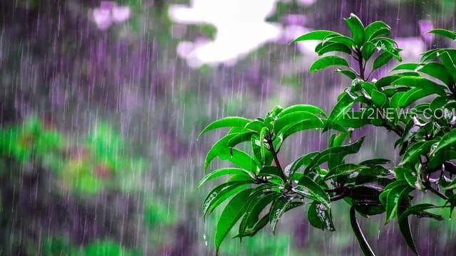 d200ee9e-28ad-4910-b72d-70950e8a4f56