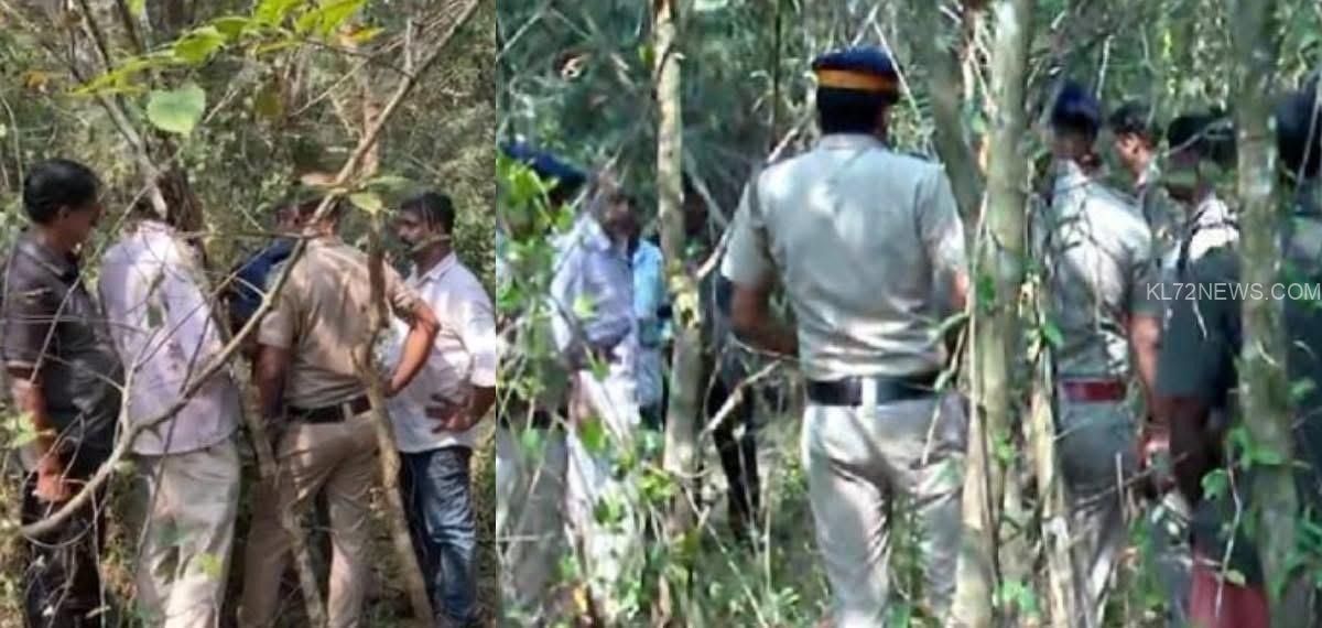 dfd4c046-222b-442c-a929-318205cee01a