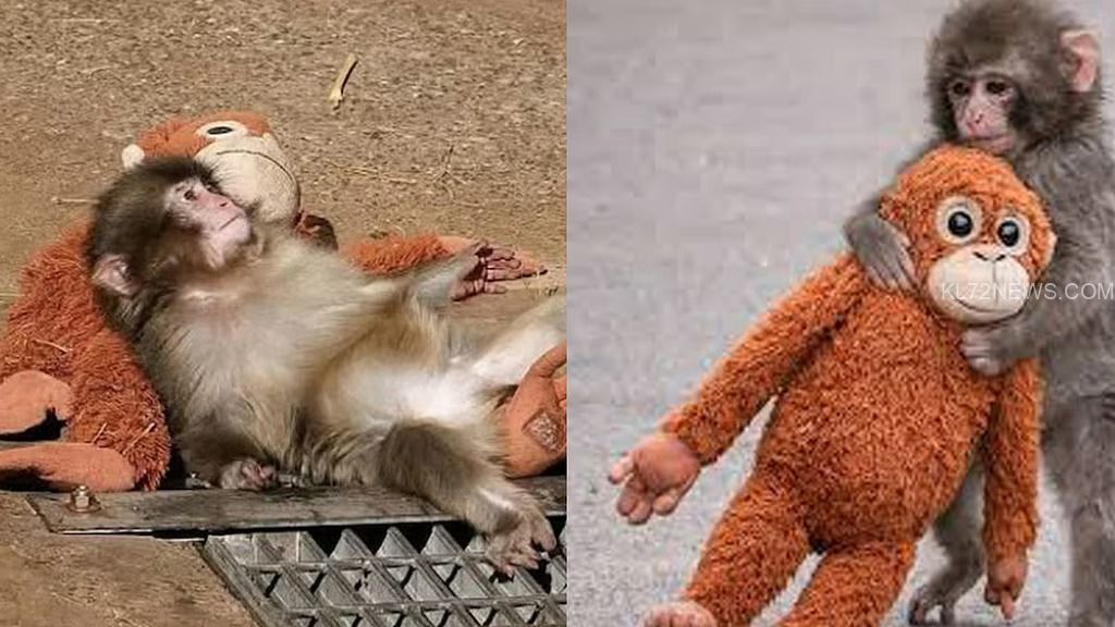 a0d93c44-e2db-4548-8646-e3b5140ab987