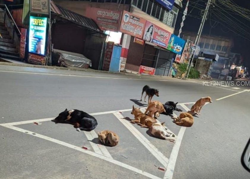 f4f970d9-1055-459c-84c5-e9cd78f9cd06