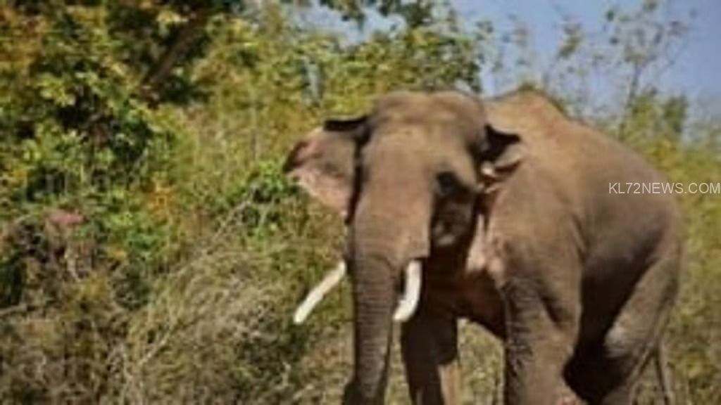 1f558471-0100-4c2e-a3b7-cd6b26f54d85