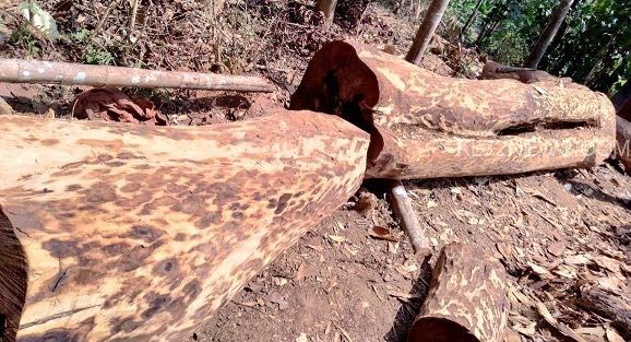 2ed640e5-e674-4403-8920-f1bb6c4393bc