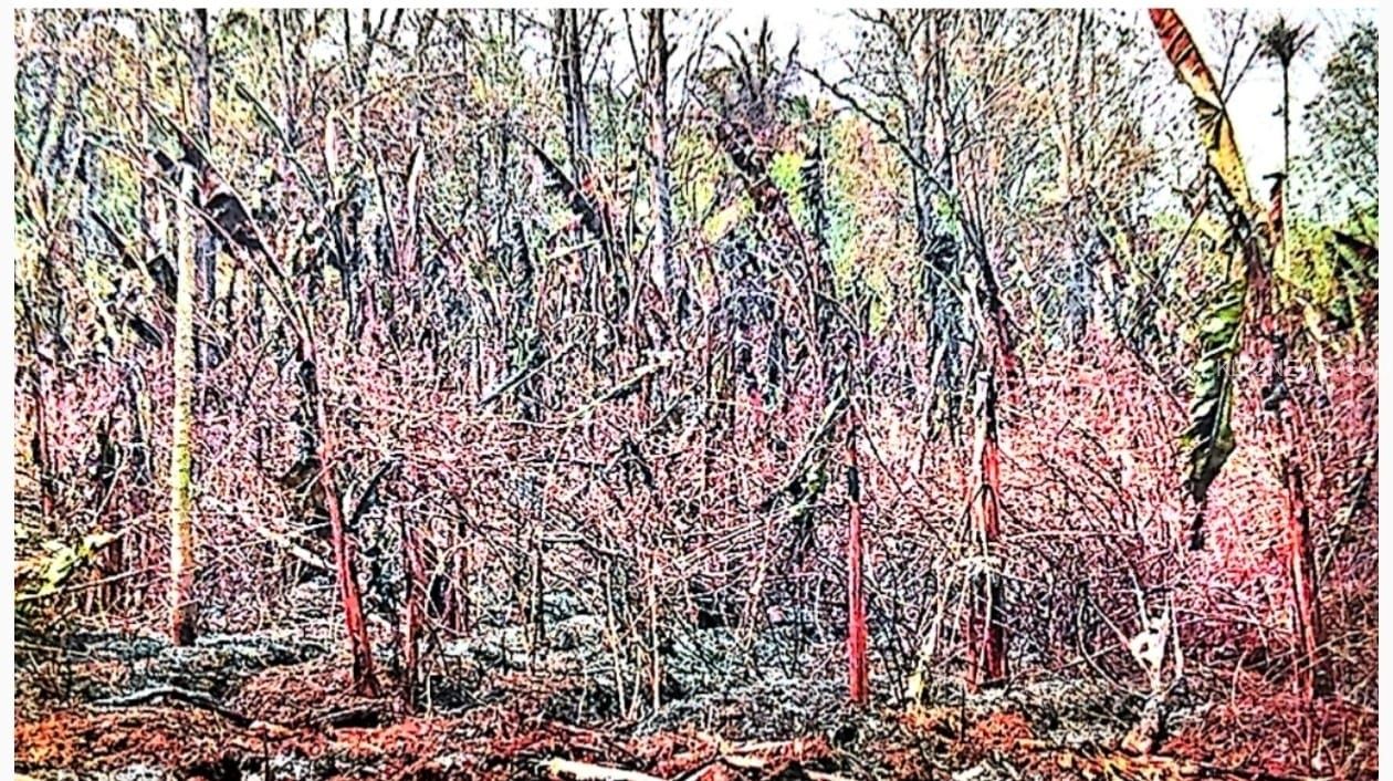 544f4864-4a87-4074-8c41-5fb95c64cddd