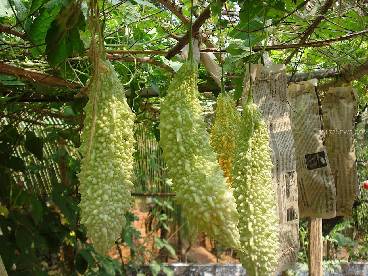 621597e0-3ee4-4a17-8774-8ec888fe4306