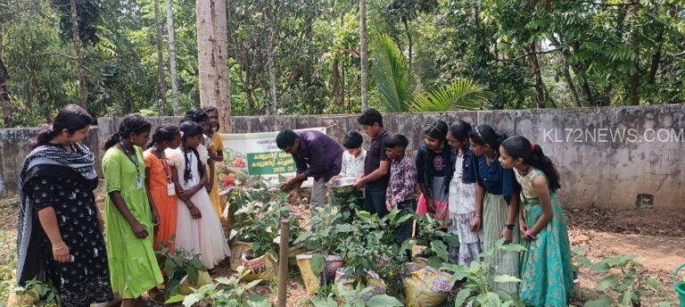 പച്ചക്കറി വിളവെടുപ്പു നടത്തി