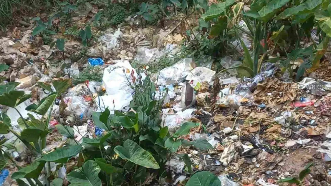 77042379-a507-4ba0-a701-bd178f57db6a