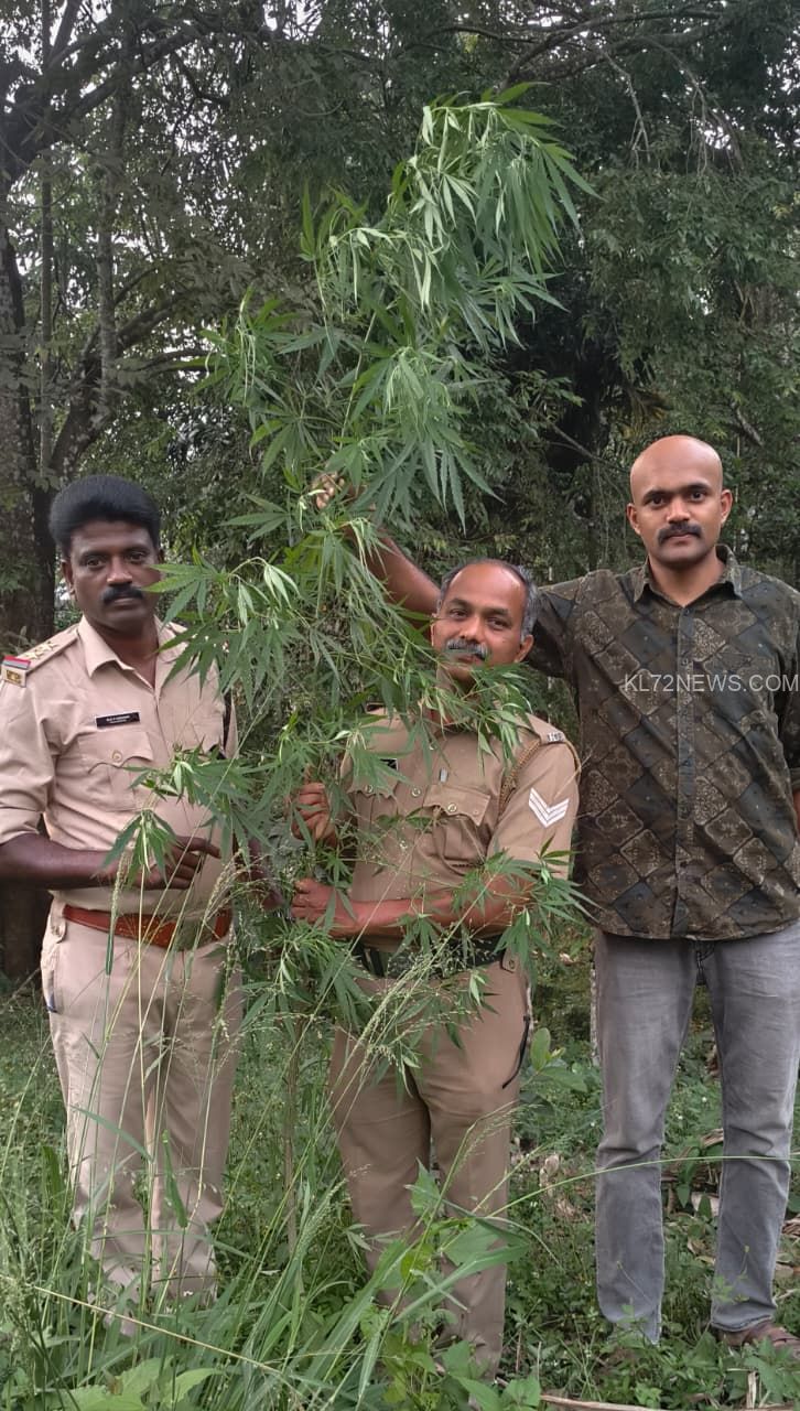 WhatsApp Image 2026-03-12 at 3.45.36 PM