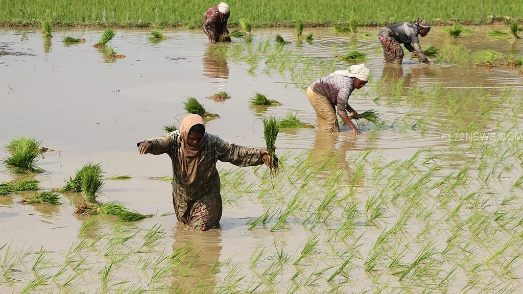 a4279d27-b90e-4c96-9340-6146b73d98ed