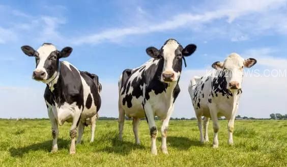 0141de87-0eb7-475b-a356-911878d6d173