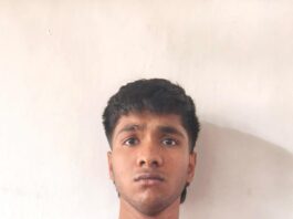 മൂന്ന് കിന്റലോളം കുരുമുളക് മോഷ്ടിച്ച സംഭവത്തില് ഒളിവിലായിരുന്ന ഒരാൾ കൂടി പിടിയിൽ