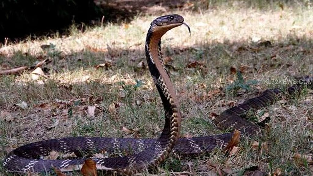 22246cc9-79d2-46c3-8e02-e29286a6635a