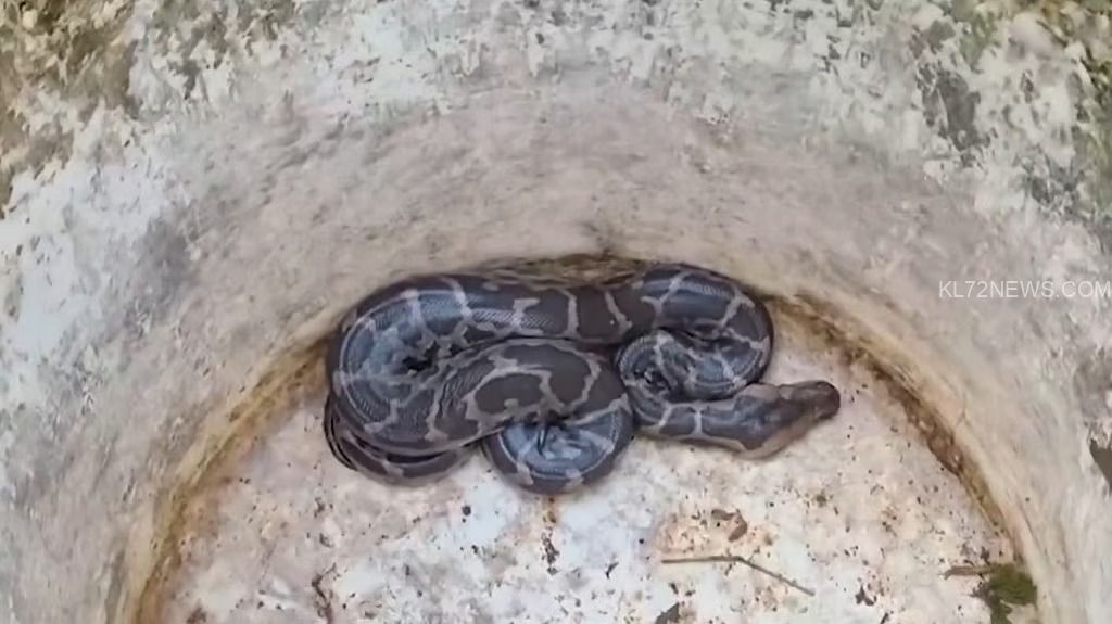 28a269d2-8b37-471b-88bf-169cc2a24f72