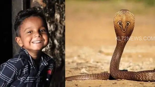 3c9b4fa0-fc7d-4799-b5a0-b511d69563b4