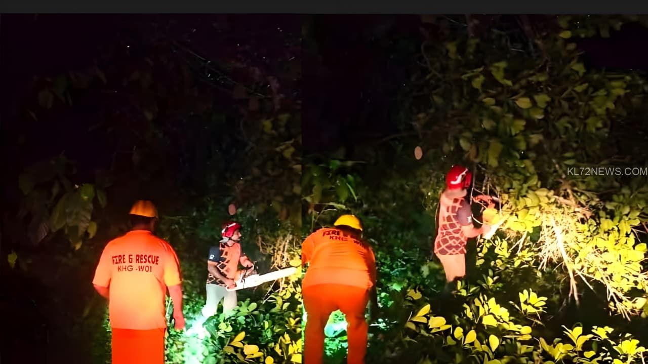 4f7d3238-5ca2-4296-8e8a-201ae2573646