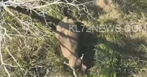 56080eef-5054-4b8f-9d27-8ea12409c93e