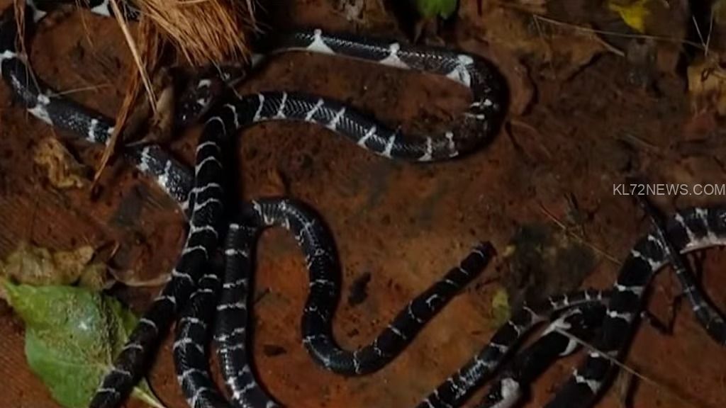 6b113da0-23db-4b28-8761-ed339a188104