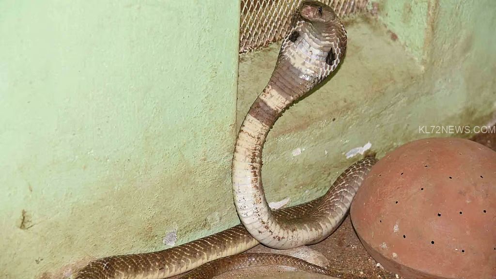 84ec409e-d143-4871-b015-ae9d54449509