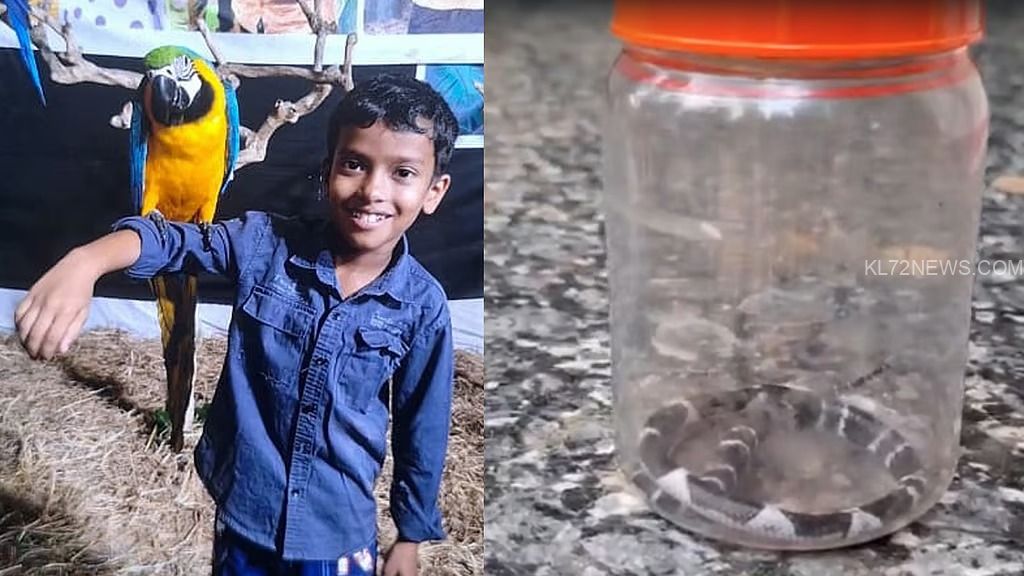 8bebaa24-0ef9-4fbd-b274-ef2c82c3aab9