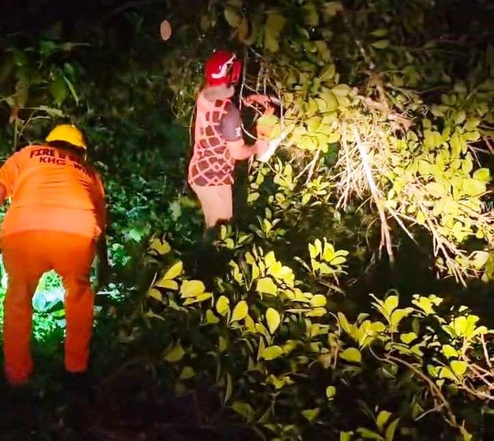 be50d4f4-1e20-4f7f-96cc-73ceab8a91fb