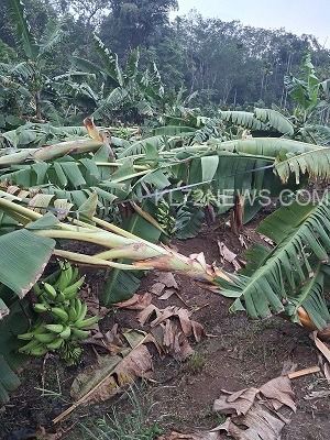 bfa62c14-d47f-4300-a0c4-f4ccfd31d58f