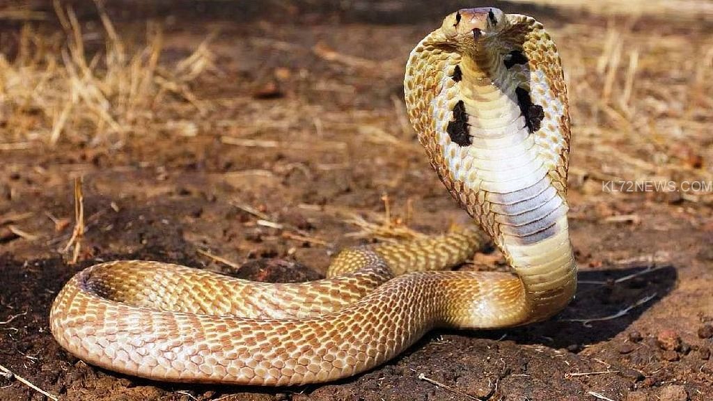 e5184220-3d59-40be-a2b1-fab6db1eab3b