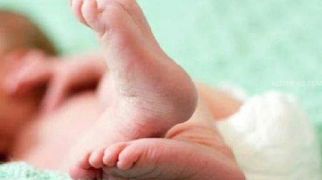 e7a7a946-80ca-4d2d-a63a-30177ee1cfa1