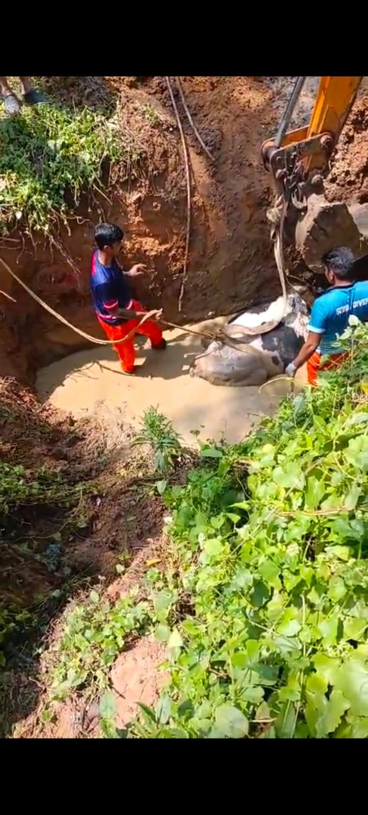 f3cc5011-3e3c-43e1-85c2-fc9ac3109756