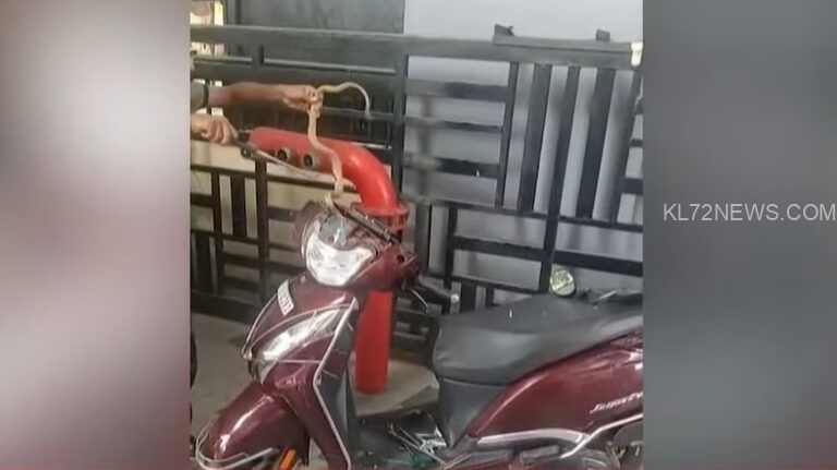 സ്‌കൂട്ടറിനുള്ളില്‍ നിന്നും ചീറ്റല്‍; പുറത്തെടുത്തത് മൂര്‍ഖന്‍ പാമ്പിനെ