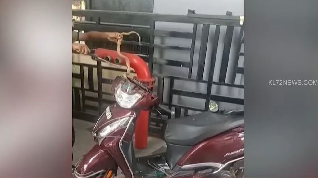 f55c9331-4f02-4941-a300-03c7b9d24914