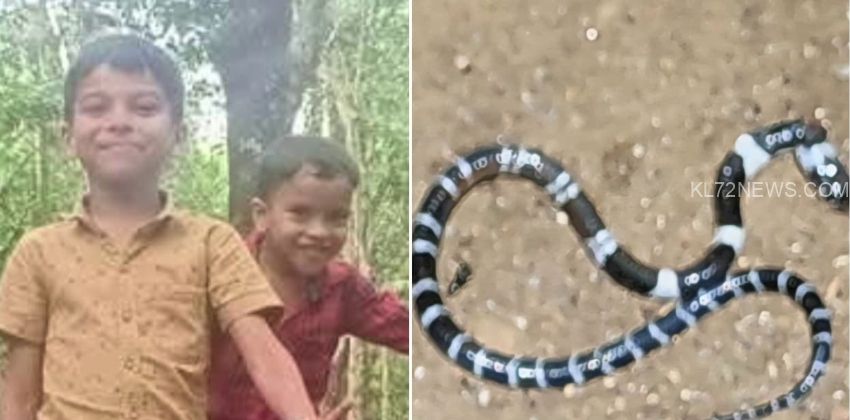 nm-2026-04-23T200339.346