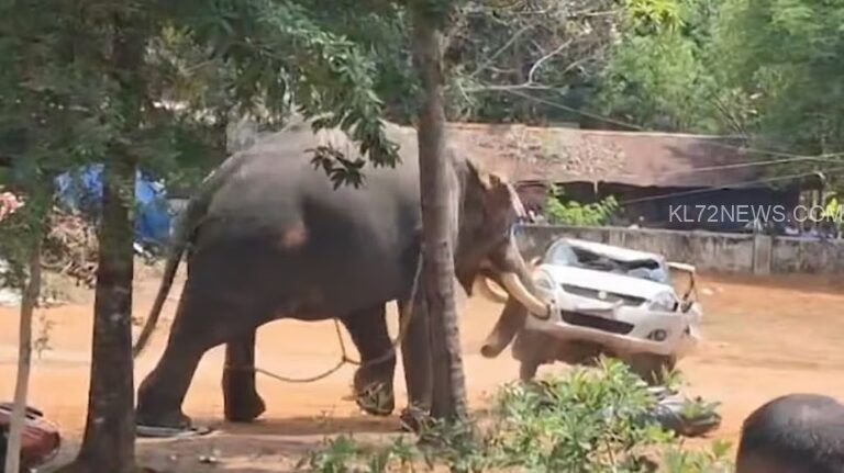ഒരാളെ ചവിട്ടിക്കൊന്നു, വാഹനങ്ങൾ കുത്തി മറിച്ചു, മണിക്കൂറുകളോളം നാട്ടുകാരെ ‘വിറപ്പിച്ചു’; ഇടഞ്ഞ പാർത്ഥസാരഥിയെ മയക്കുവെടിവെച്ചു