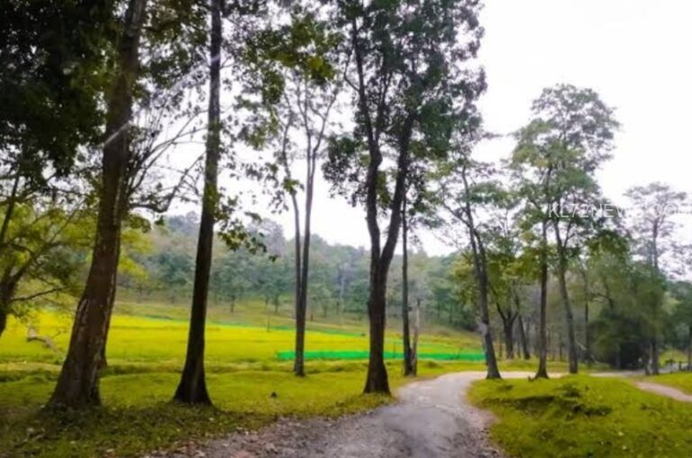ചാറൽമഴ പൊലും കിട്ടാതെ വയനാട് ജില്ലയിലെ അതിർത്തിയിലെ ഗ്രാമങ്ങൾ